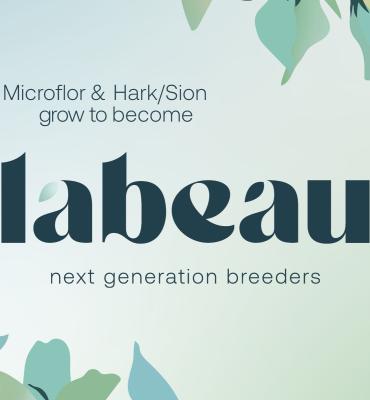 Labeau breeders